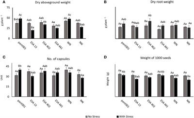 Molecular and biochemical responses of sesame (Sesame indicum L.) to rhizobacteria inoculation under water deficit